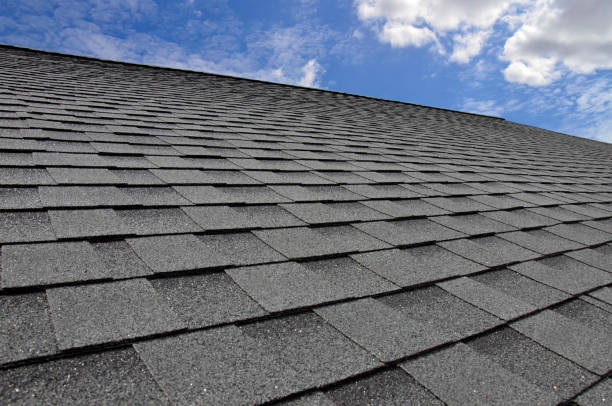 Professional Roofing in Alvin, TX